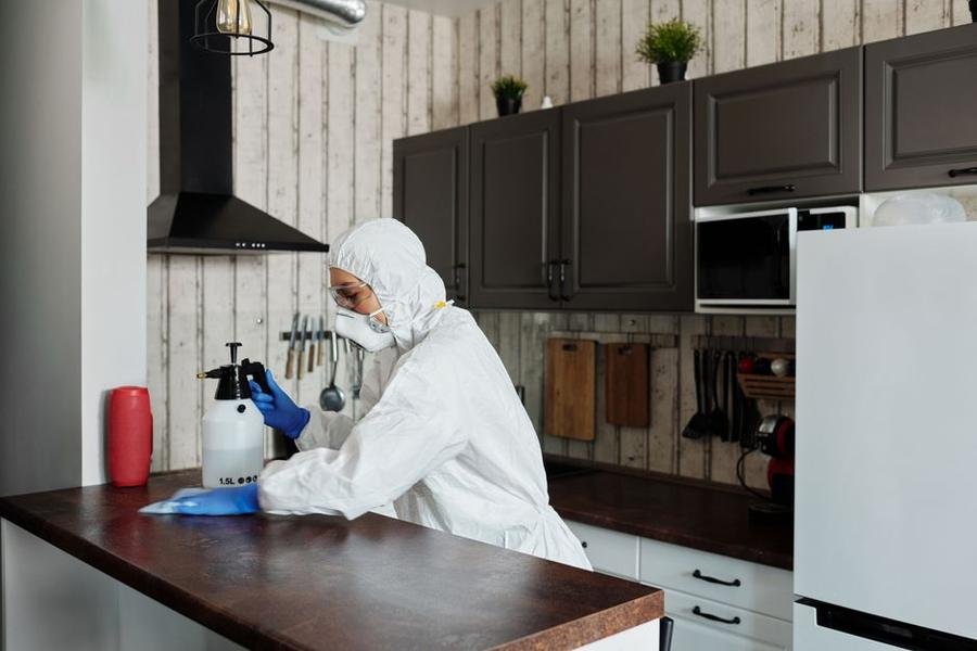 Pest control technician spraying a kitchen worktop with a pressure sprayer to clear pests
